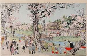 小金井桜